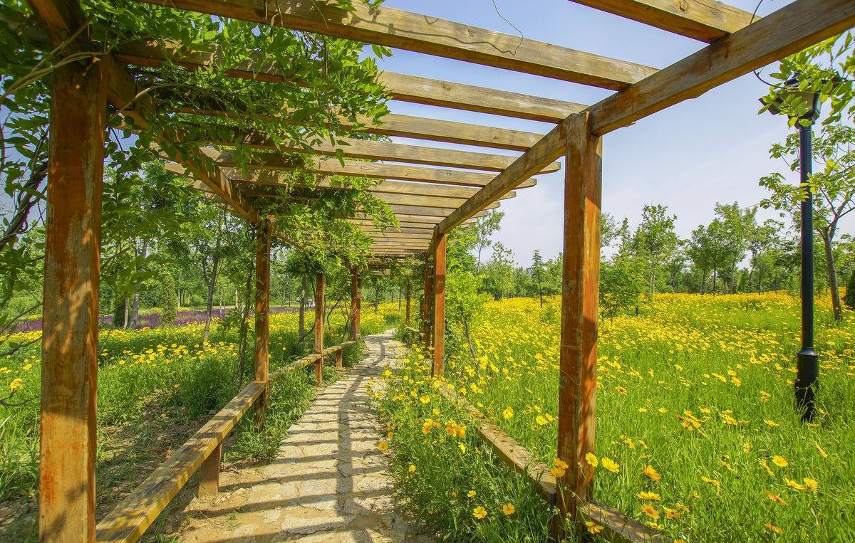 湖南木廊架,长沙防腐木公司,防腐木凉亭,防腐木花架,防腐木葡萄架,防腐木木屋别墅,防腐木小品制作,碳化木,碳化木价格,防腐木价格,防腐木厂家,防腐木地板,防腐木护栏,防腐木座椅,菠萝格防腐木,防腐木景观小品,别墅庭院规划设计,湖南防腐木公司,木道步工程,防腐木木桥,园林防腐木